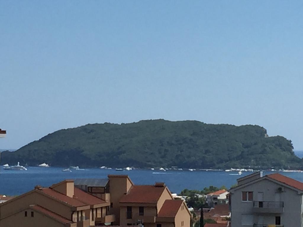 Radulovic *