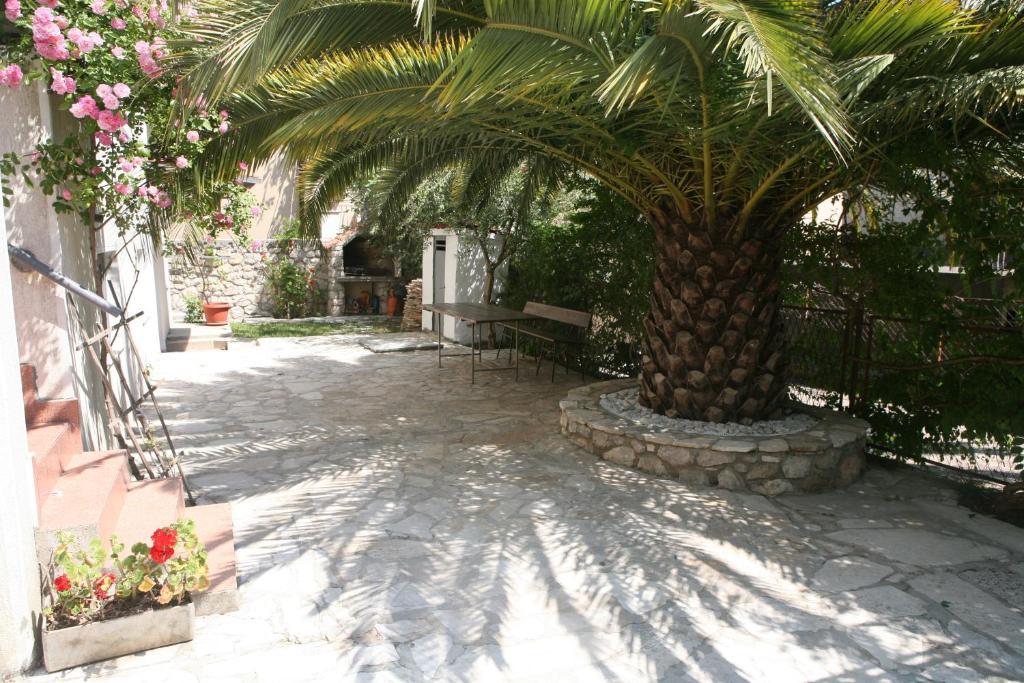 Radulovic * Budva