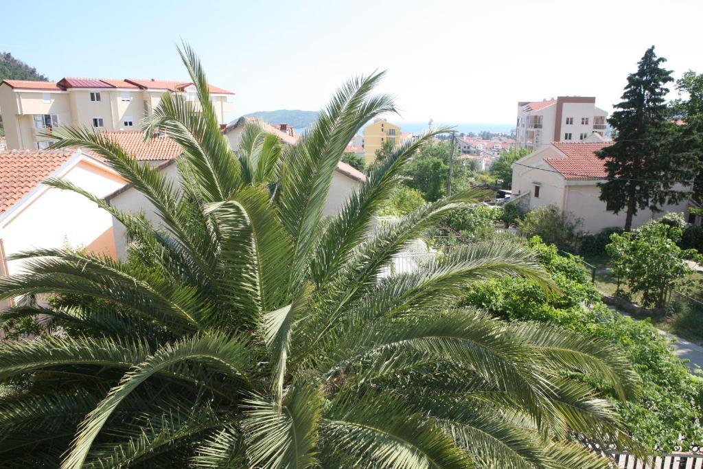Apartment Radulovic Budva