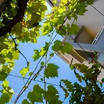 Apartments Radulovic